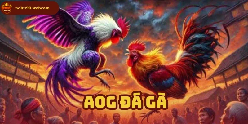 aog da ga anh dai dien