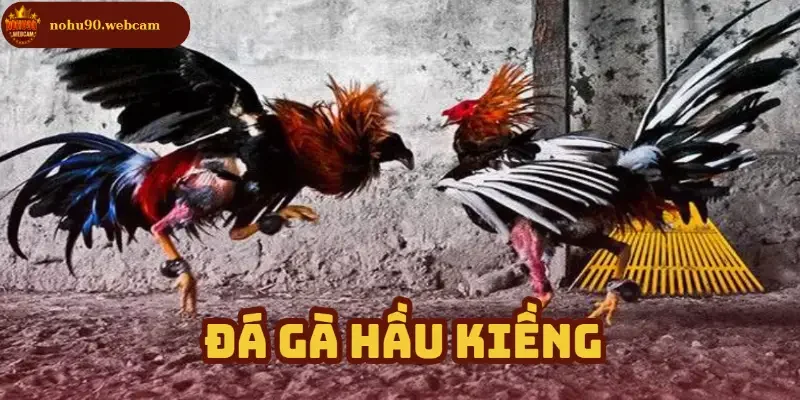 da ga hau kieng anh dai dien