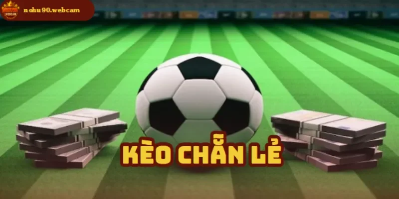 keo chan le anh dai dien